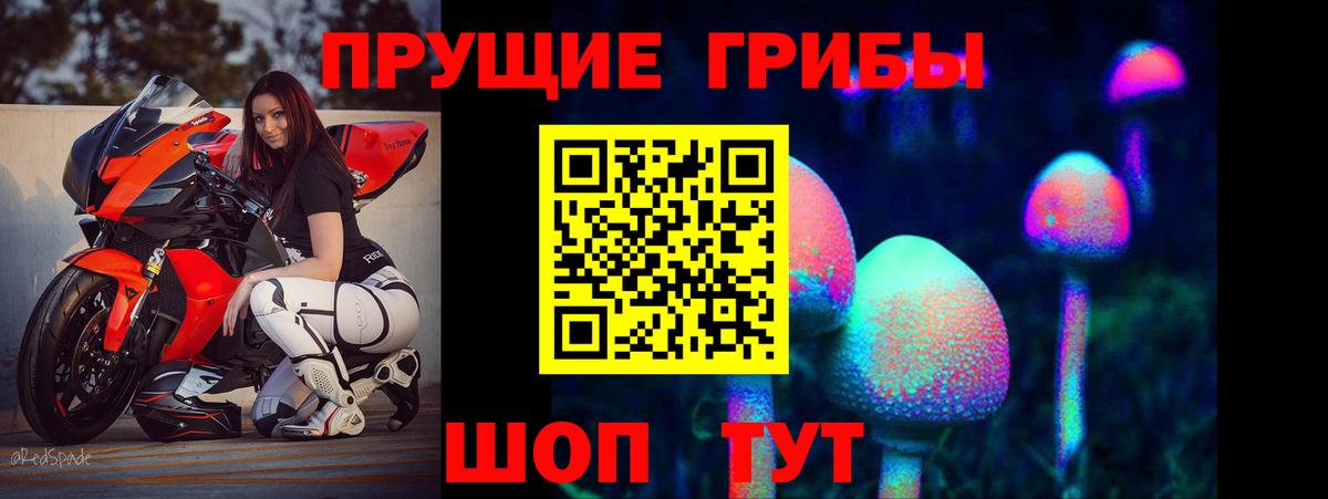 Псилоцибиновые грибы Psilocybine cubensis  Вход с VPN  Урус-Мартан 